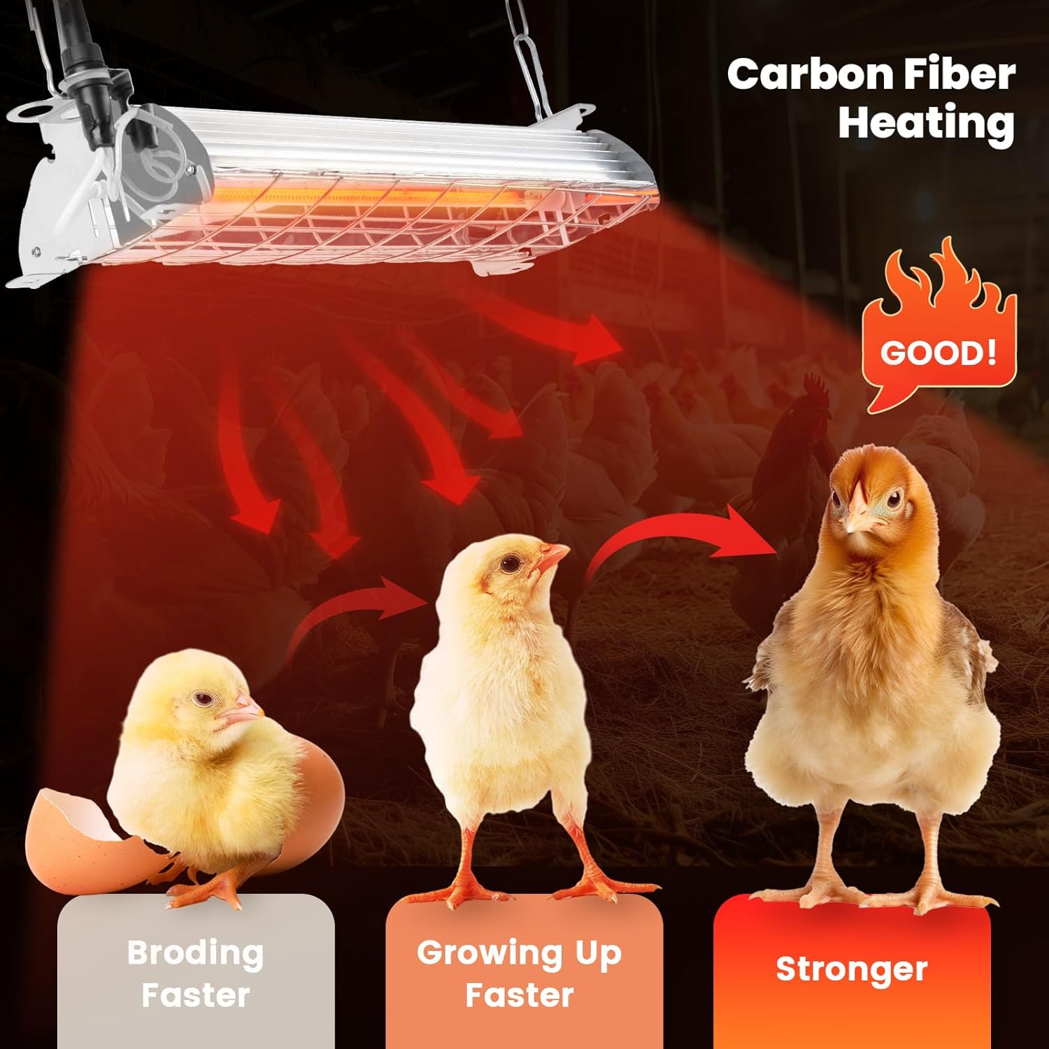 Best heater for chicken coop 2026