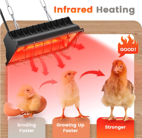 Replacement bulb for egg incubator
