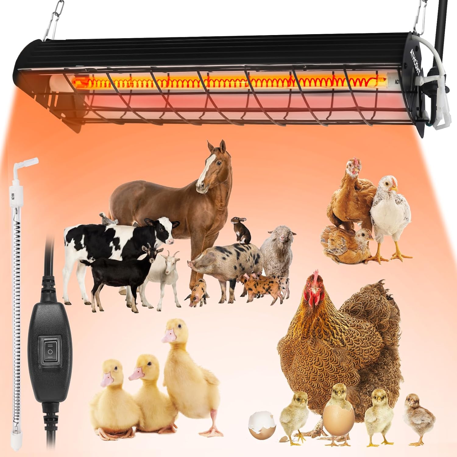 Wholesale puppy heat bulbs